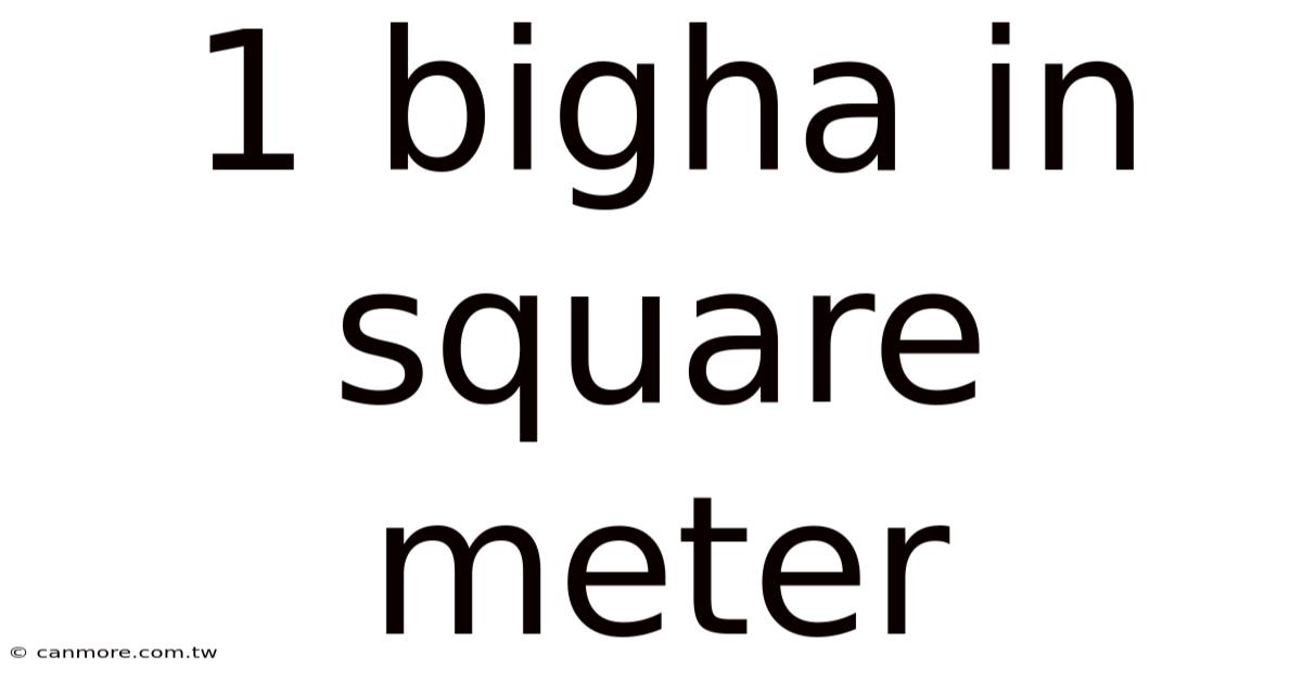 1 Bigha In Square Meter