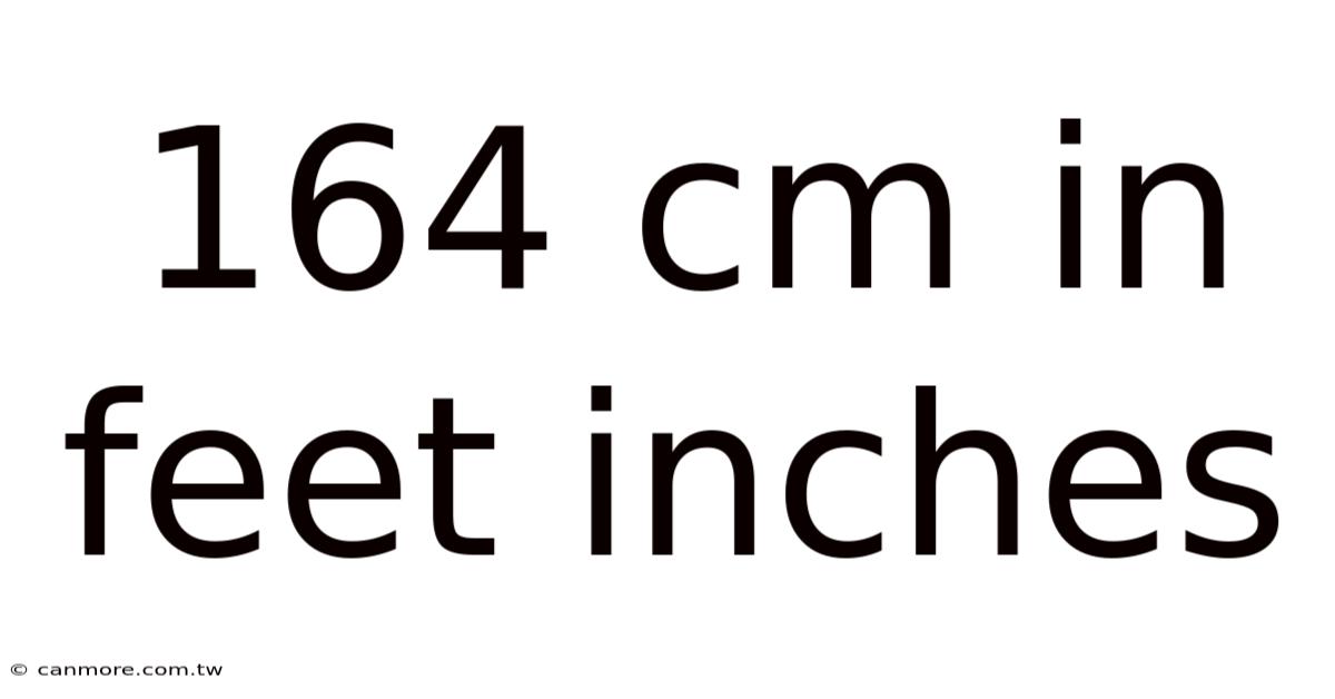 164 Cm In Feet Inches