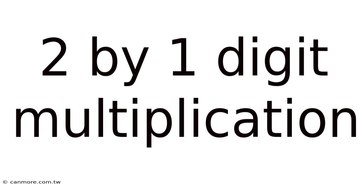 2 By 1 Digit Multiplication