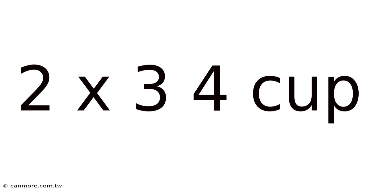 2 X 3 4 Cup