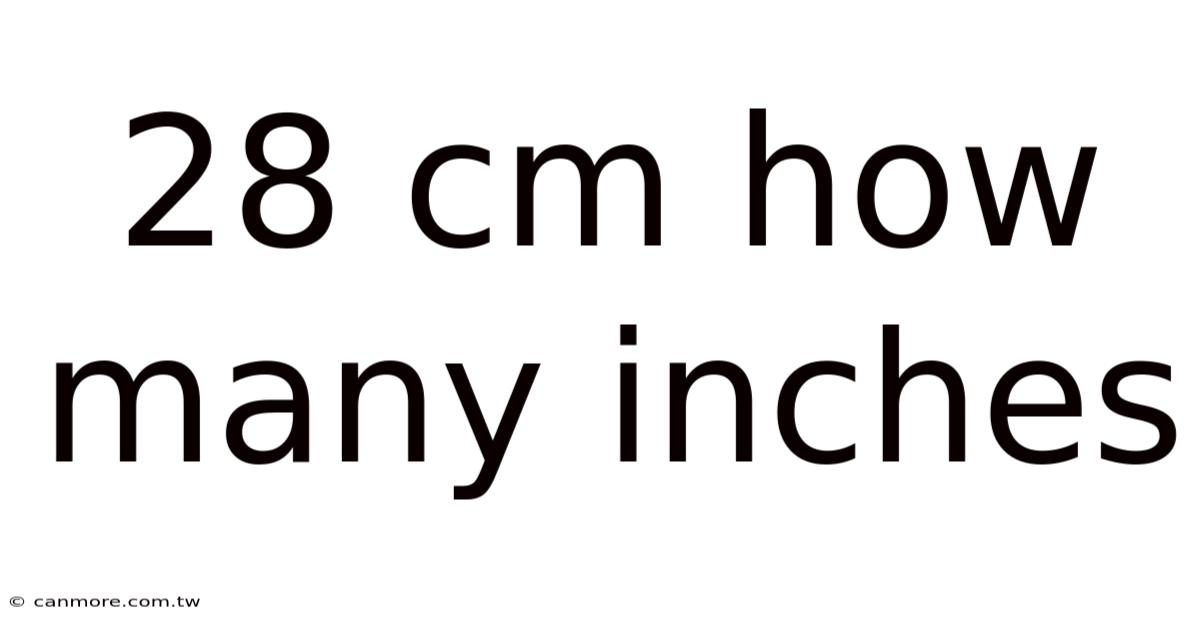 28 Cm How Many Inches