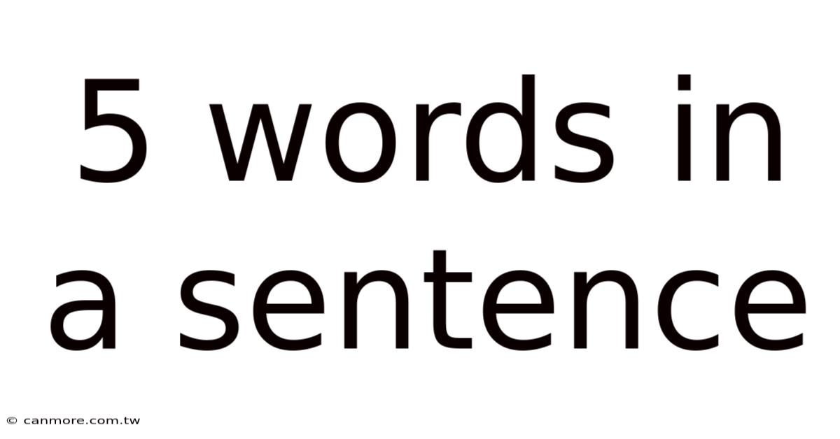 5 Words In A Sentence