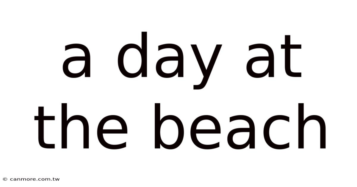 A Day At The Beach