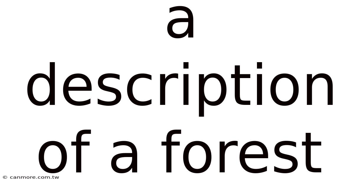 A Description Of A Forest