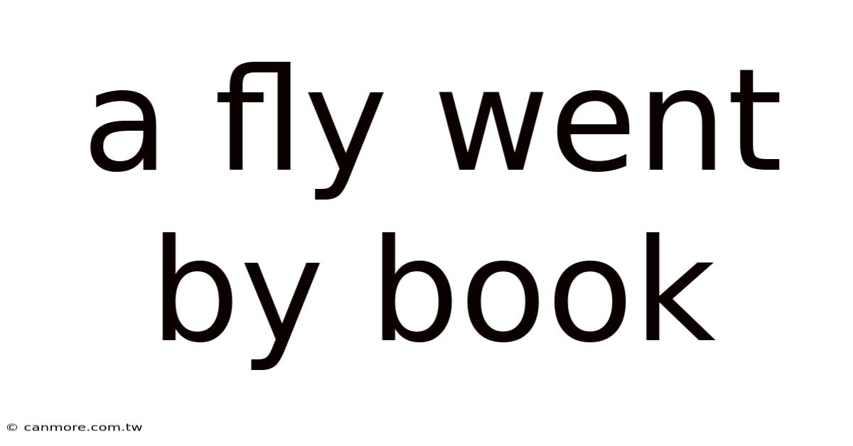 A Fly Went By Book
