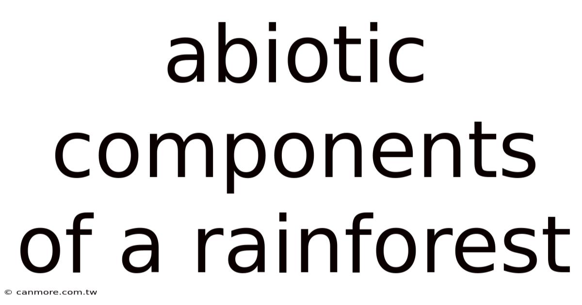 Abiotic Components Of A Rainforest