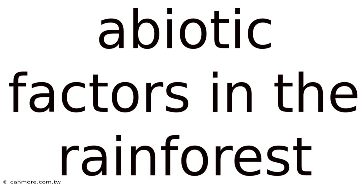 Abiotic Factors In The Rainforest