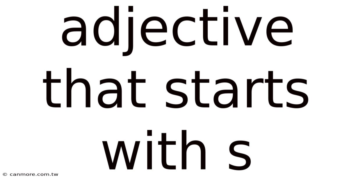 Adjective That Starts With S