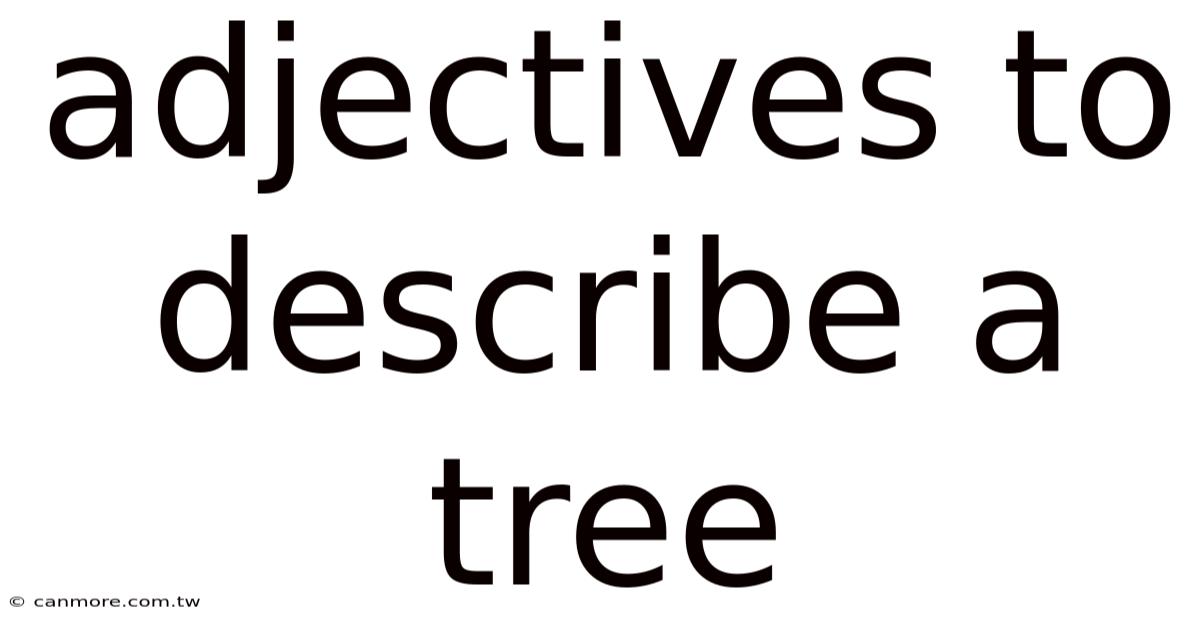 Adjectives To Describe A Tree