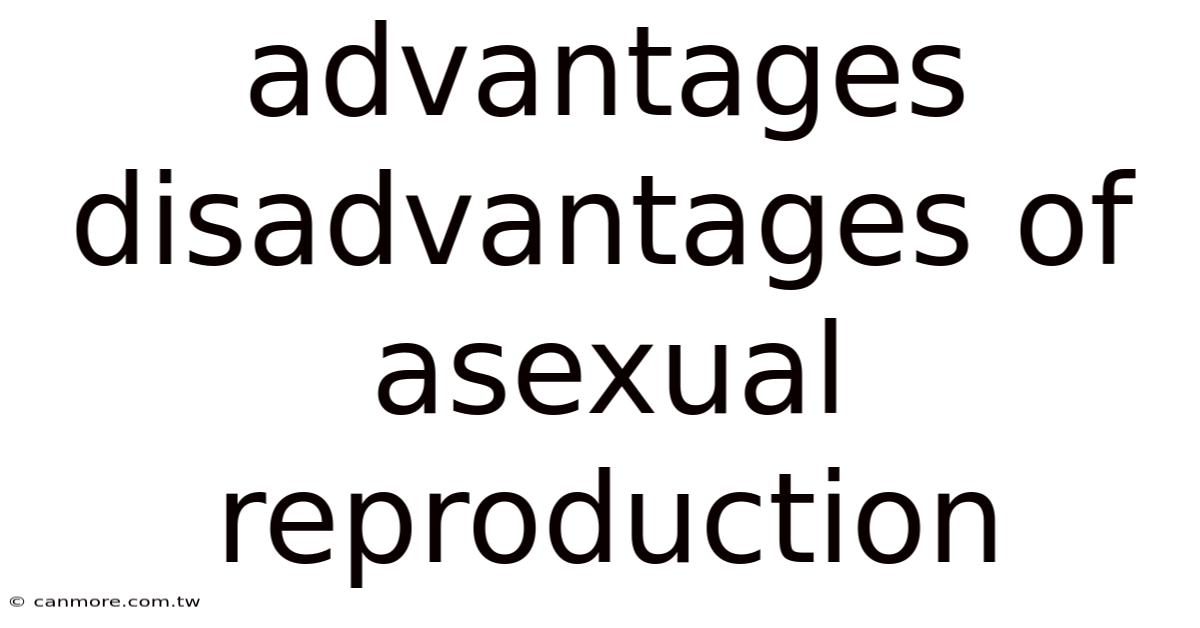 Advantages Disadvantages Of Asexual Reproduction