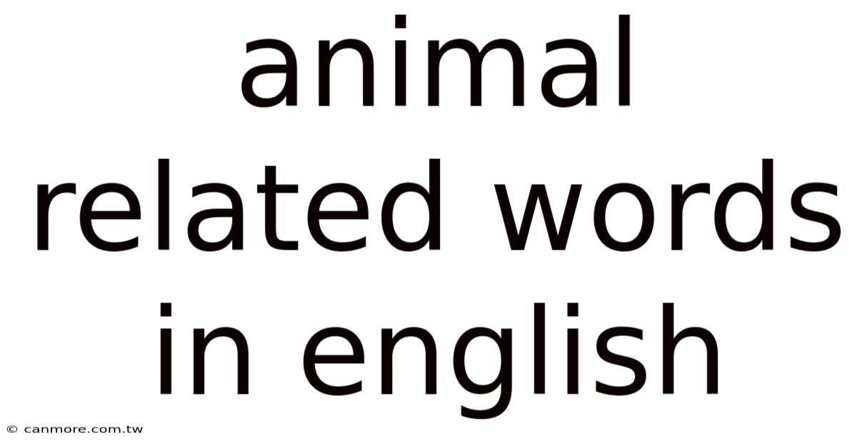 Animal Related Words In English