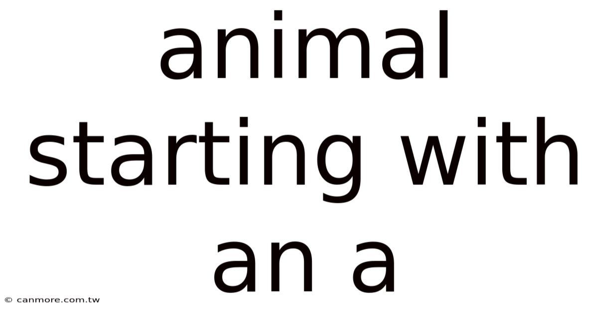 Animal Starting With An A