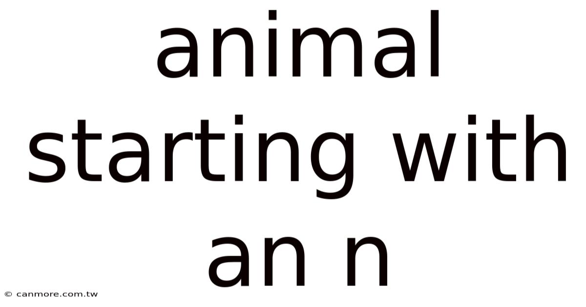 Animal Starting With An N