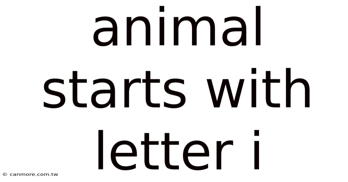 Animal Starts With Letter I