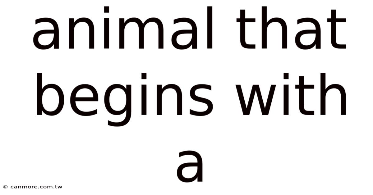 Animal That Begins With A