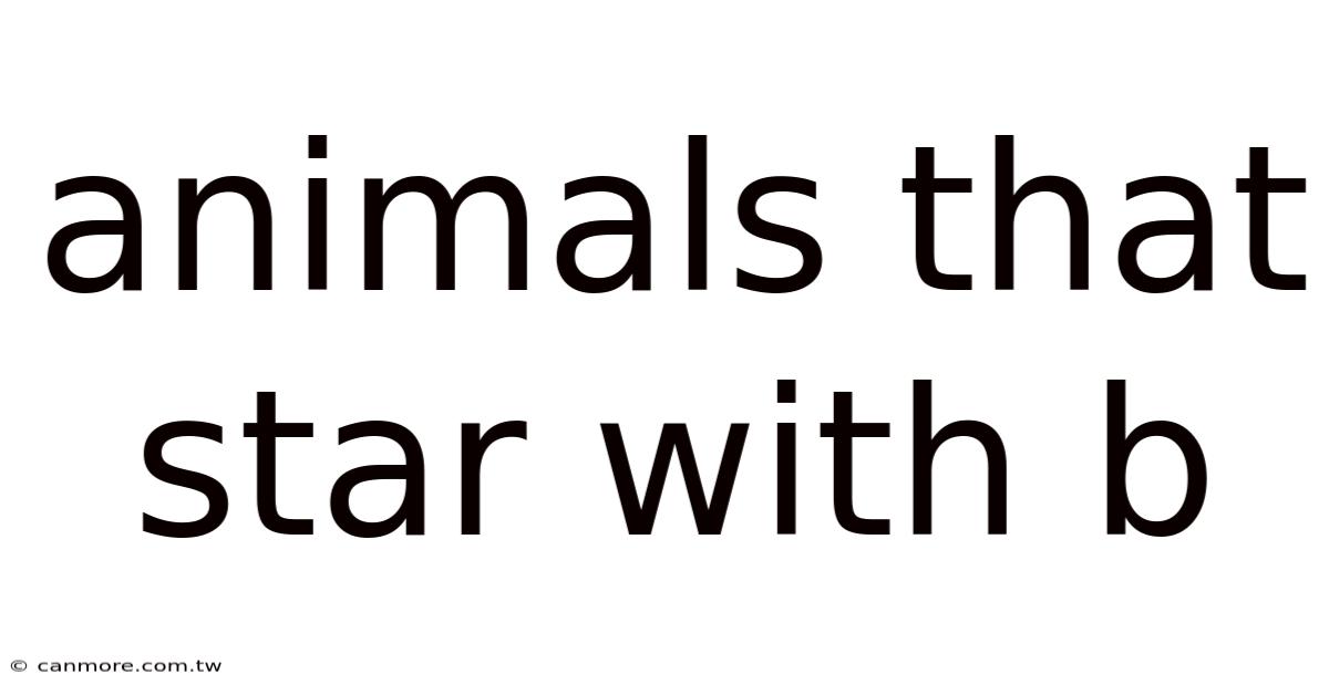 Animals That Star With B