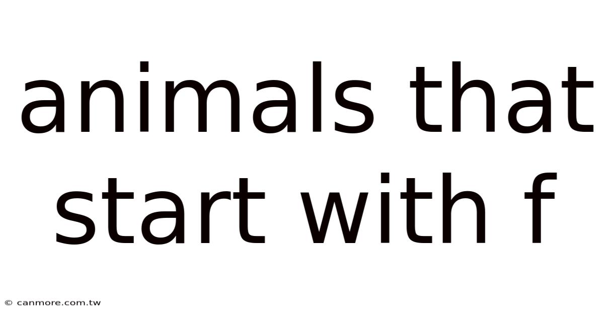 Animals That Start With F