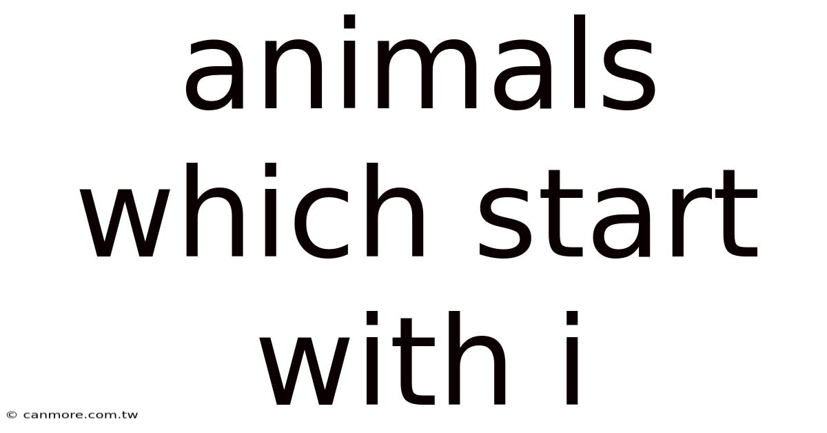Animals Which Start With I