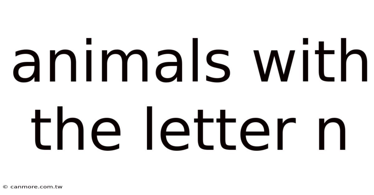 Animals With The Letter N