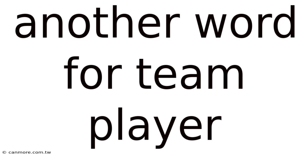 Another Word For Team Player