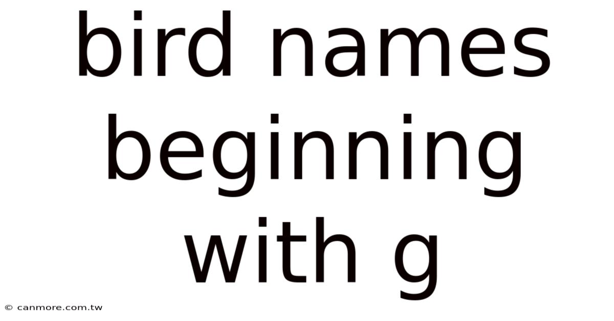 Bird Names Beginning With G