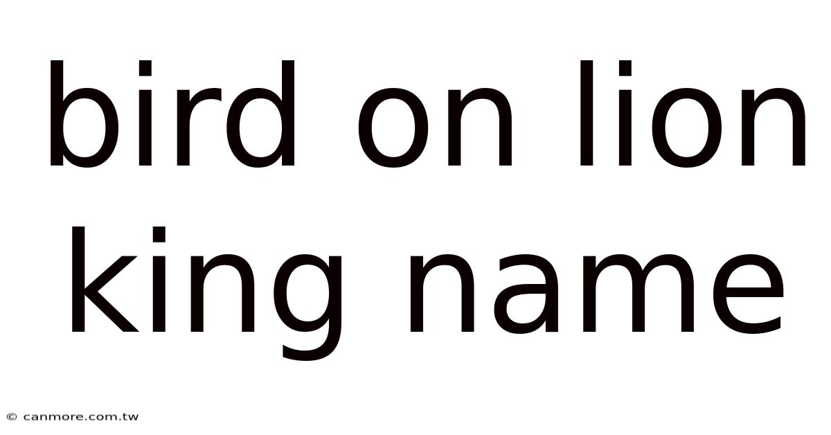 Bird On Lion King Name