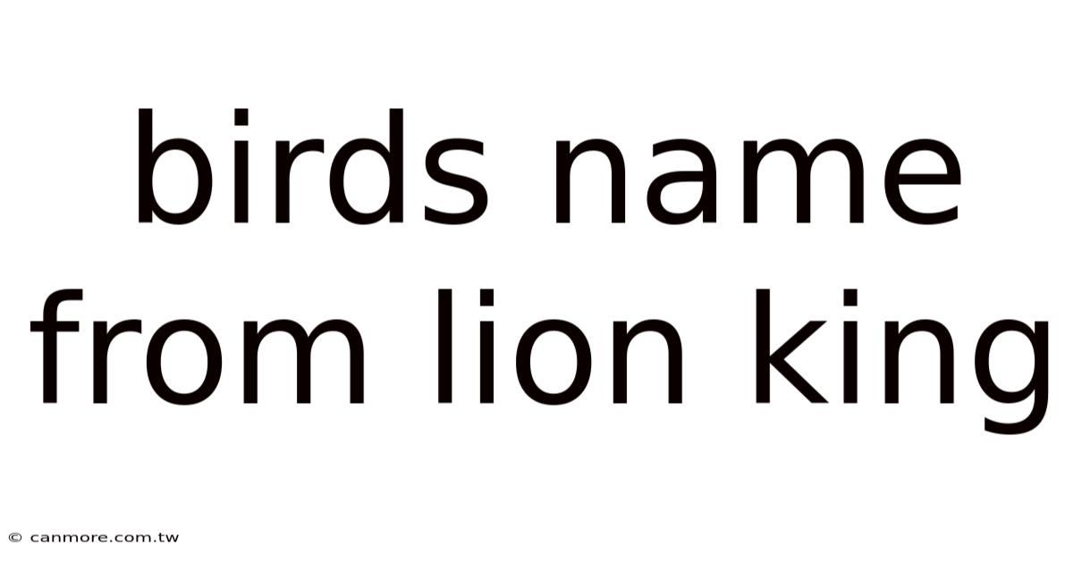 Birds Name From Lion King