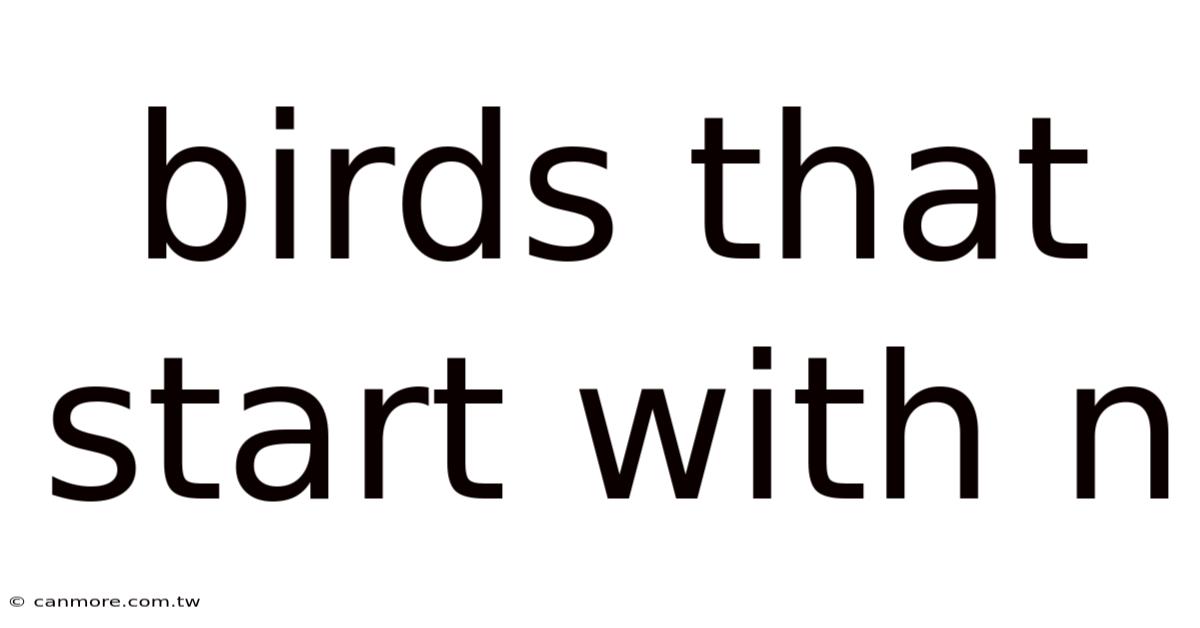 Birds That Start With N
