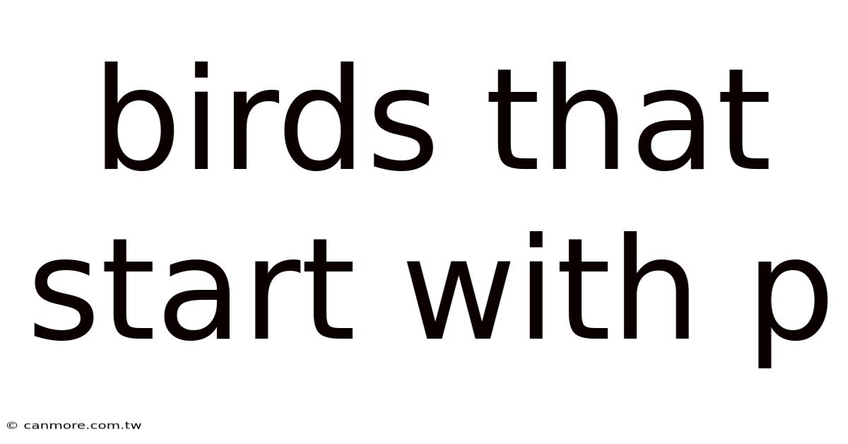 Birds That Start With P