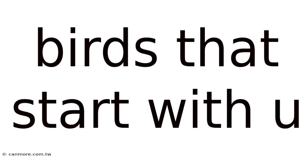 Birds That Start With U