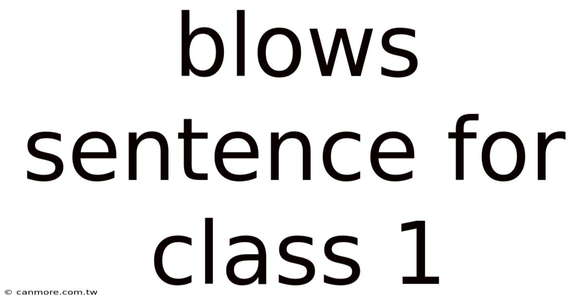 Blows Sentence For Class 1