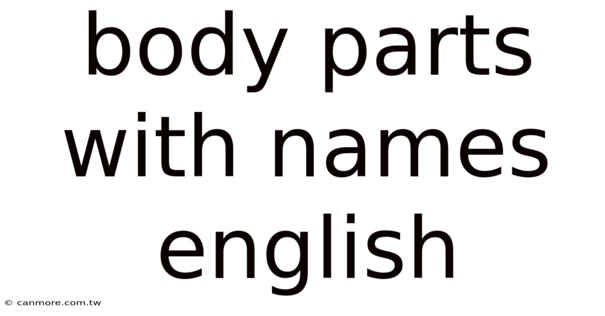 Body Parts With Names English
