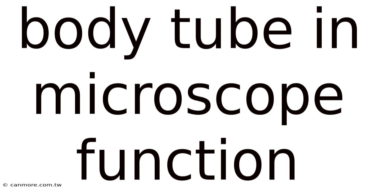 Body Tube In Microscope Function