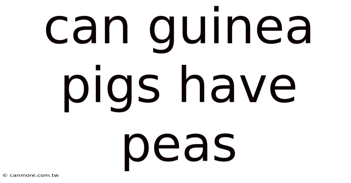 Can Guinea Pigs Have Peas