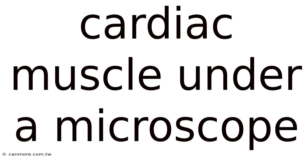 Cardiac Muscle Under A Microscope