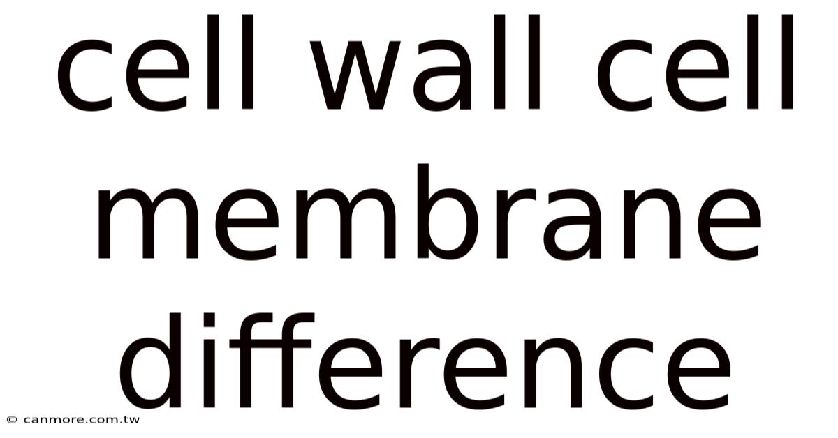 Cell Wall Cell Membrane Difference