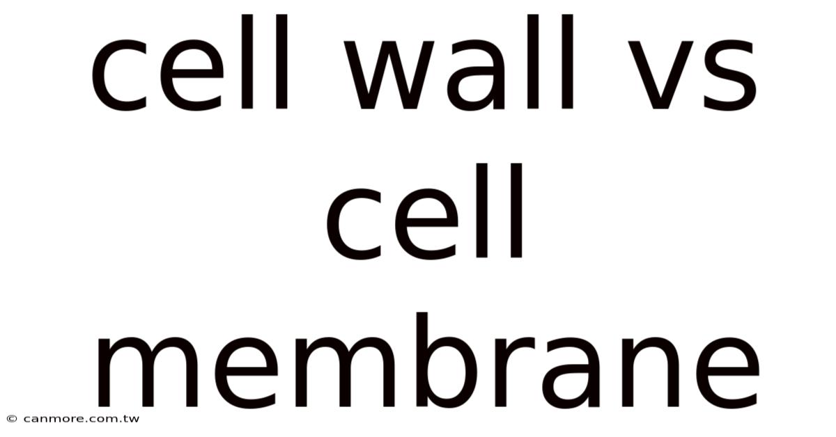 Cell Wall Vs Cell Membrane