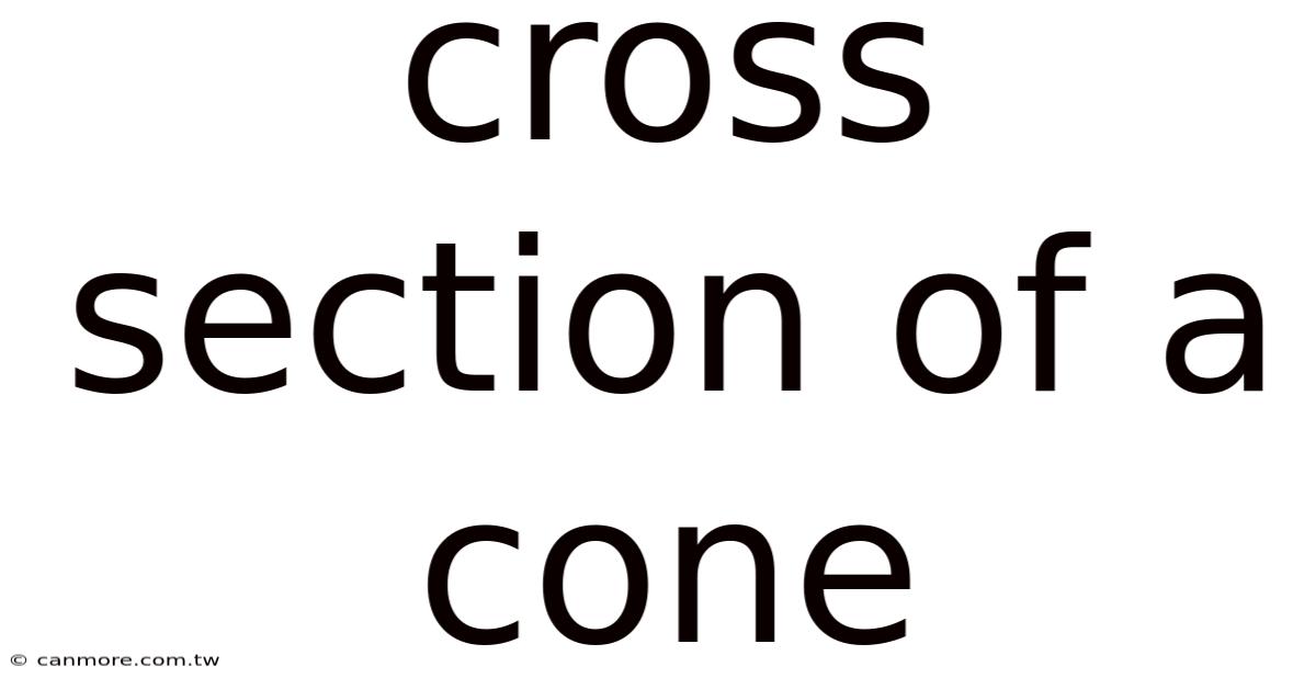 Cross Section Of A Cone