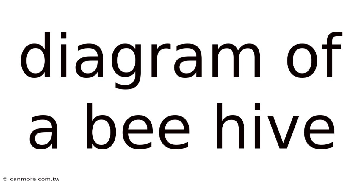 Diagram Of A Bee Hive