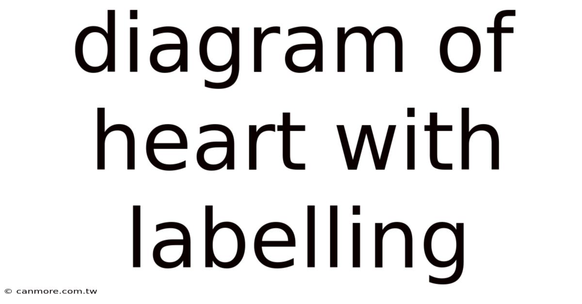 Diagram Of Heart With Labelling