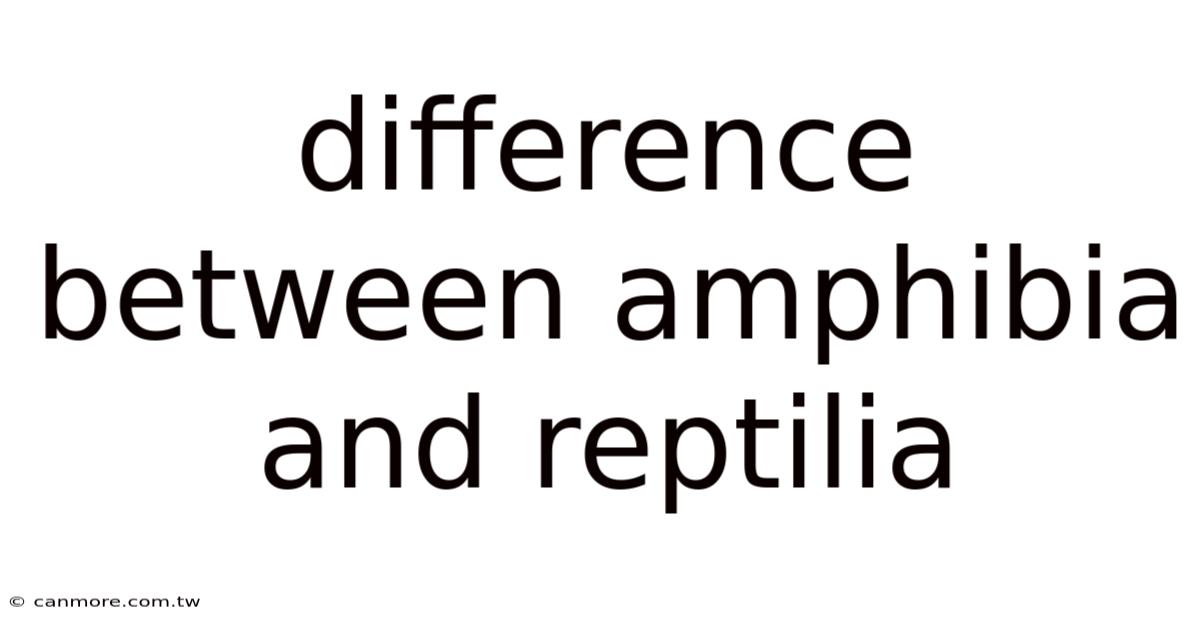 Difference Between Amphibia And Reptilia