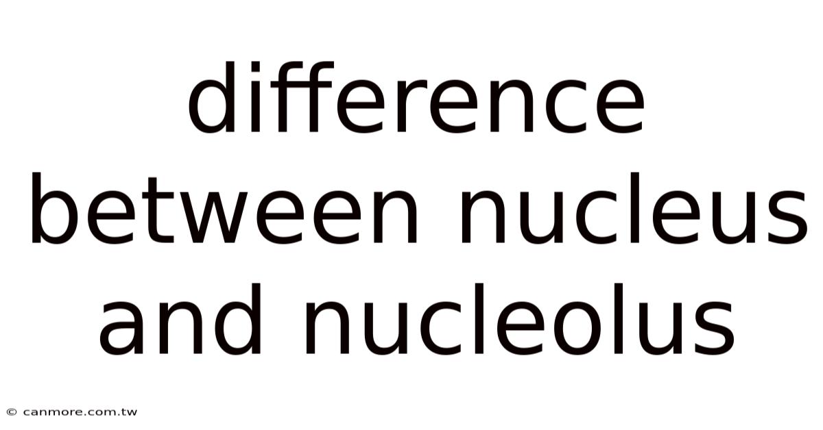 Difference Between Nucleus And Nucleolus