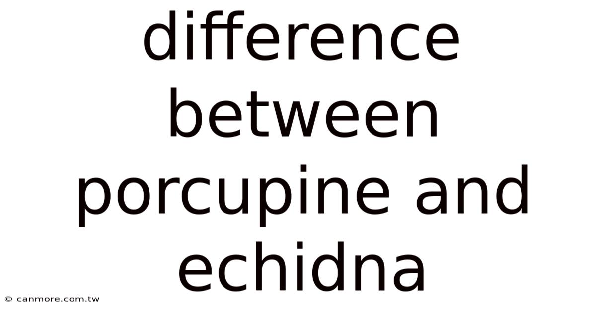 Difference Between Porcupine And Echidna