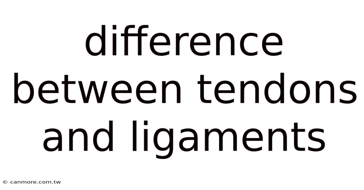 Difference Between Tendons And Ligaments