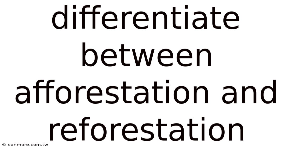 Differentiate Between Afforestation And Reforestation