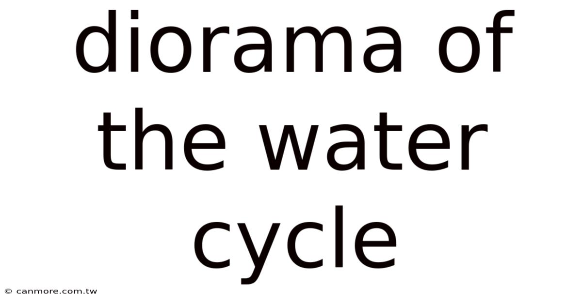Diorama Of The Water Cycle