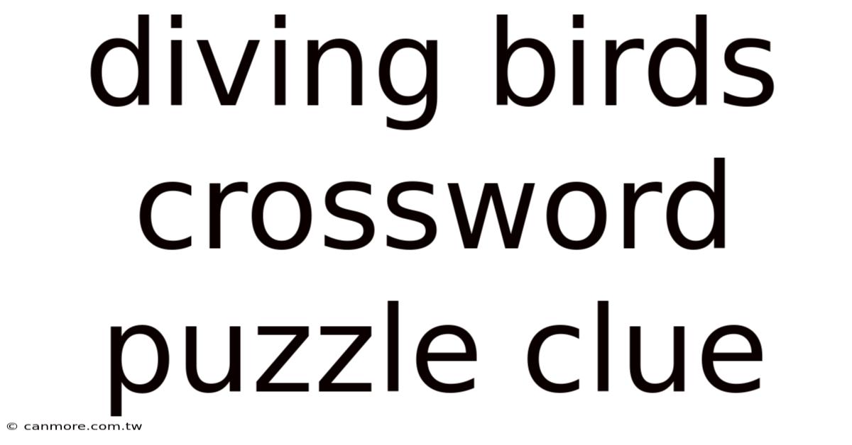 Diving Birds Crossword Puzzle Clue