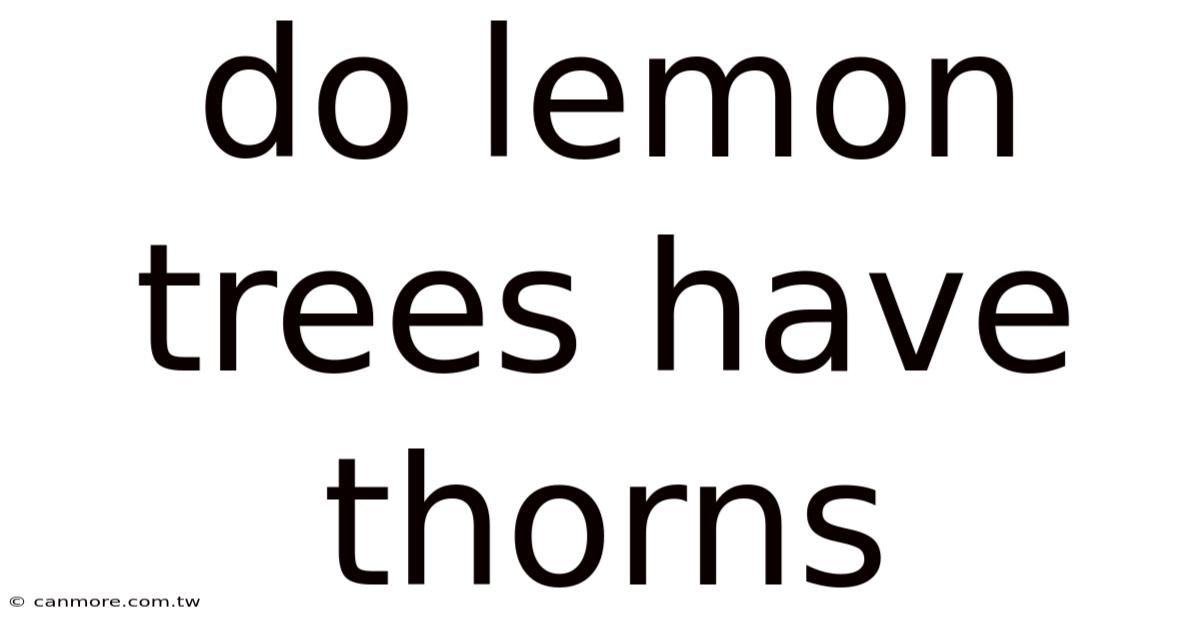 Do Lemon Trees Have Thorns