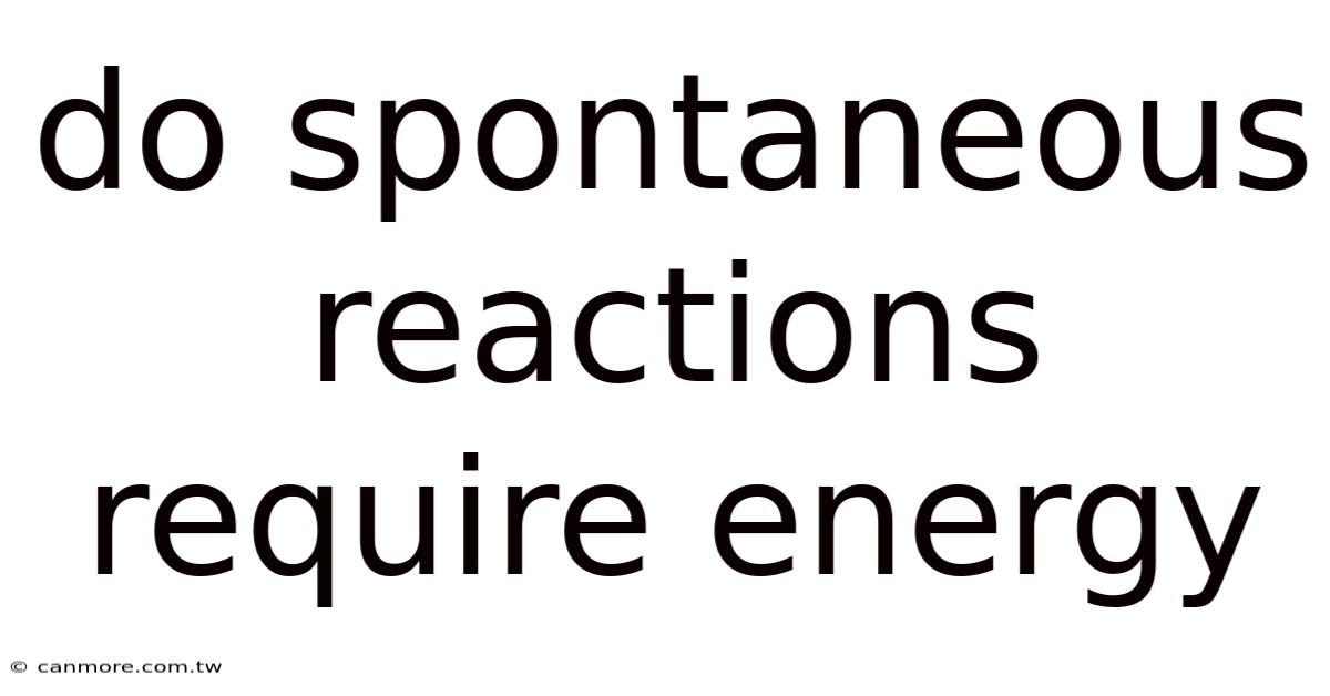 Do Spontaneous Reactions Require Energy