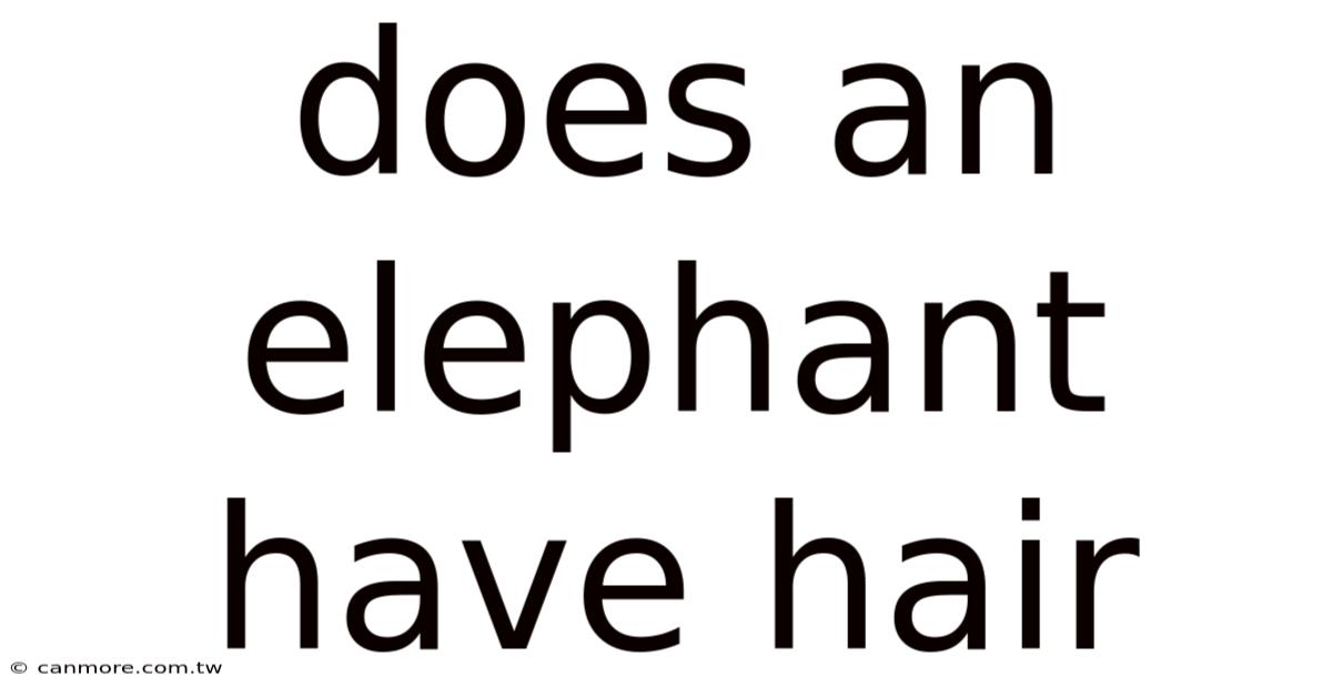 Does An Elephant Have Hair